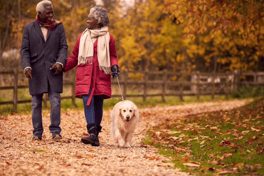 The Benefits of Pet Exercise in the Fall: Why November is Perfect for Dog Walks in Florida
