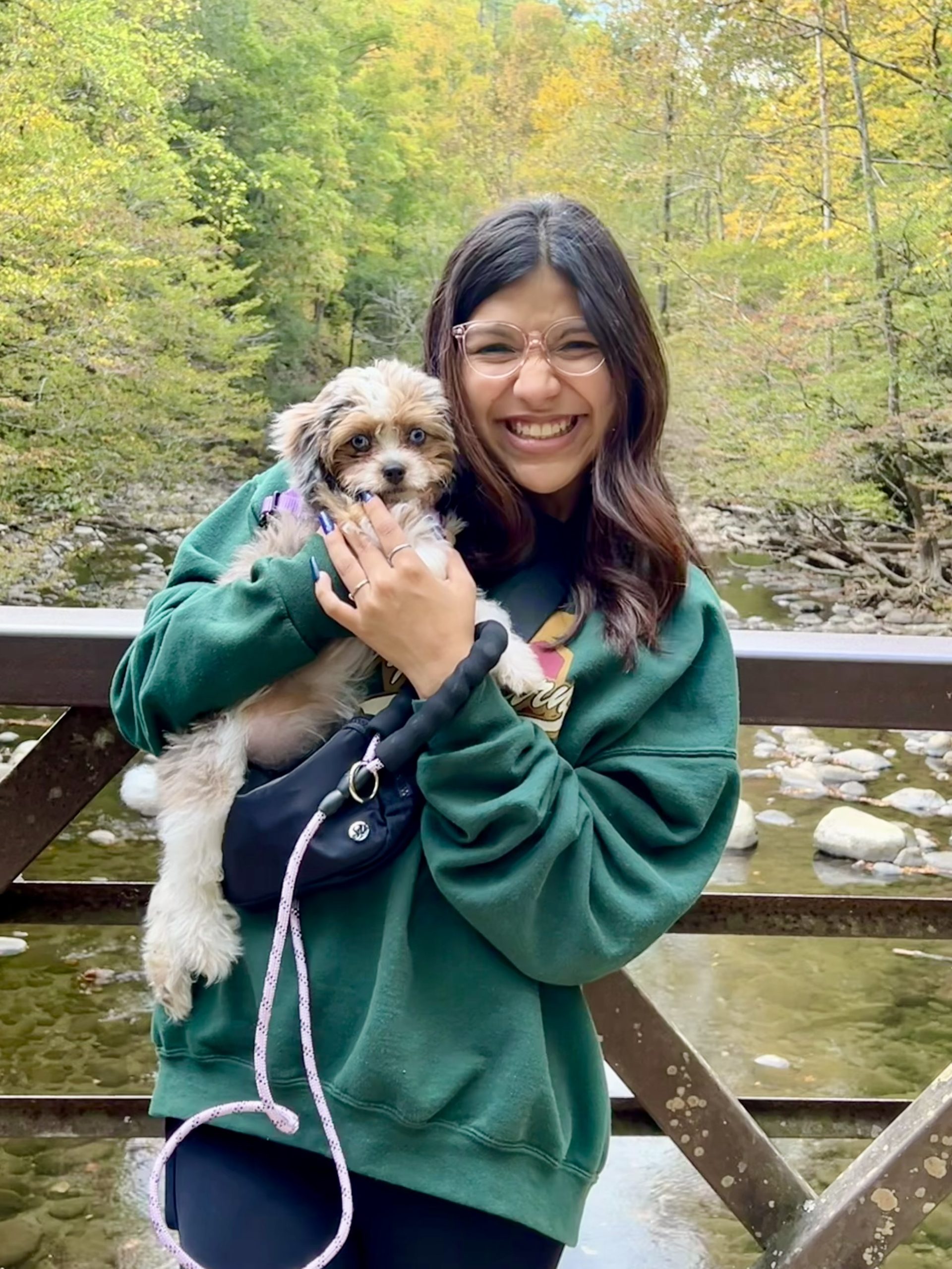 Trusted Pet Sitting & Dog Walking in Apollo Beach, Riverview, and surrounding areas.