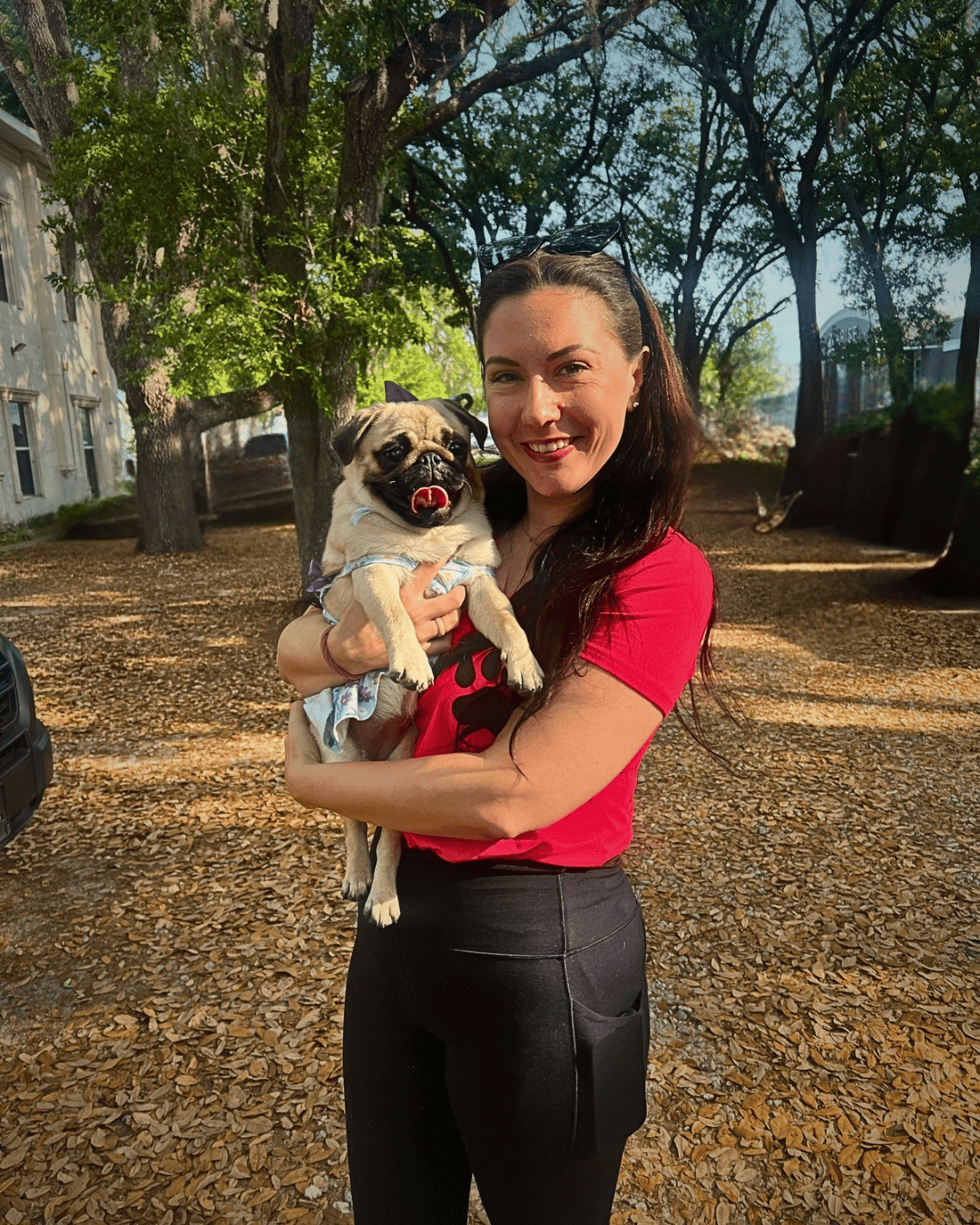 Lauri Partanio, Speaker