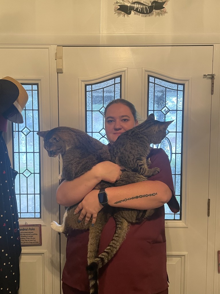 Trusted Pet Sitting & Dog Walking in Apollo Beach, Riverview, and surrounding areas.
