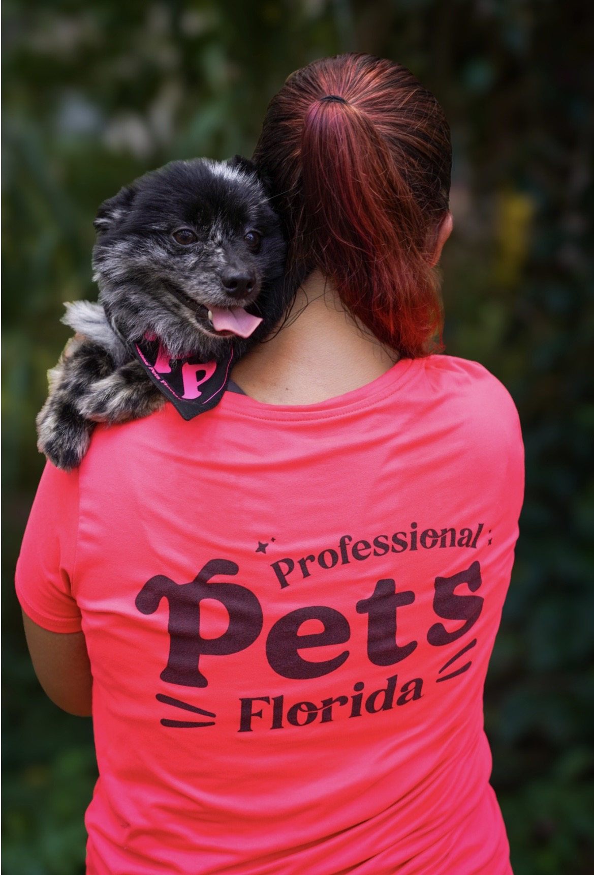 Overnight Pet Care Service Page Professional Pets Florida