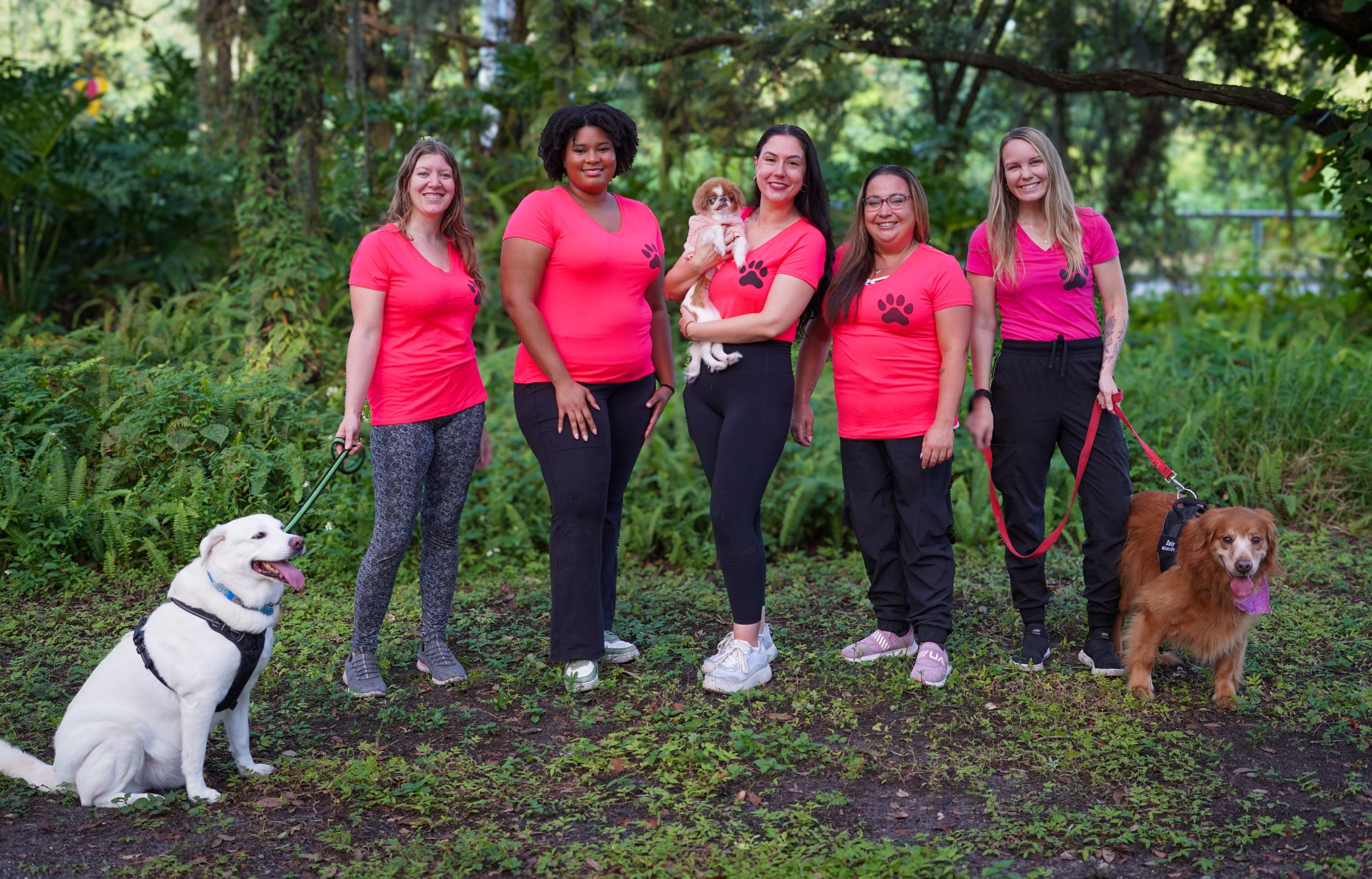 Adventure Hikes Professional Pets Florida