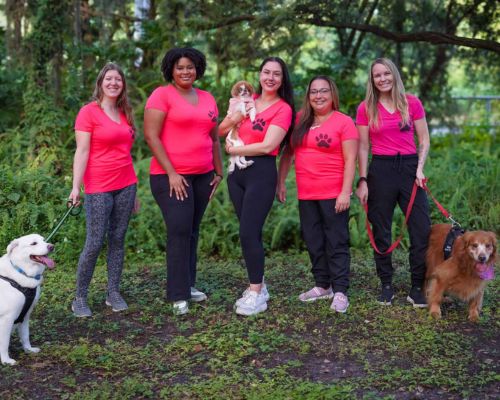 Professional Pets Florida dog walking team in pink shirts with three dogs